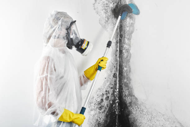 Best Mold Remediation for Healthcare Facilities  in Pleasant Run, OH