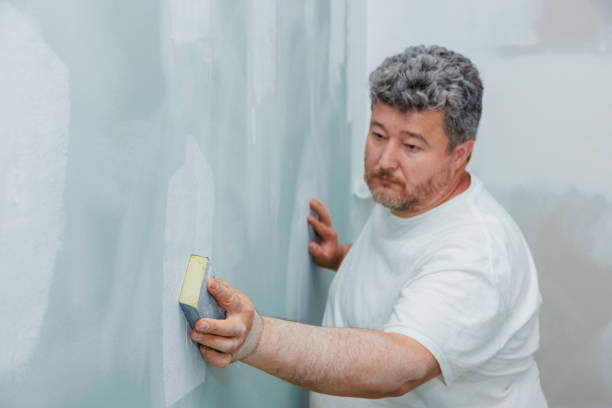Best Black Mold Removal  in Pleasant Run, OH