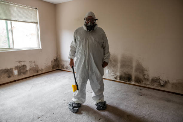 Best Airborne Mold Testing  in Pleasant Run, OH